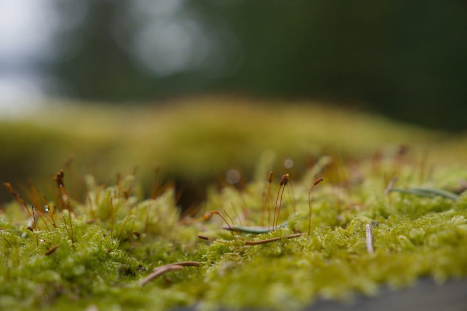 Queen Elizabeth II Opened Her Namesake Botanic Park in Grand Cayman