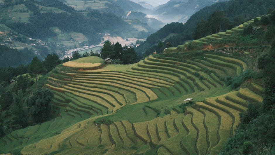 Subsistence Agriculture