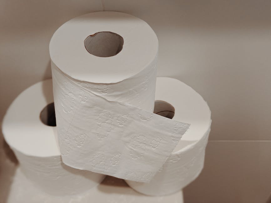 Toilet Paper