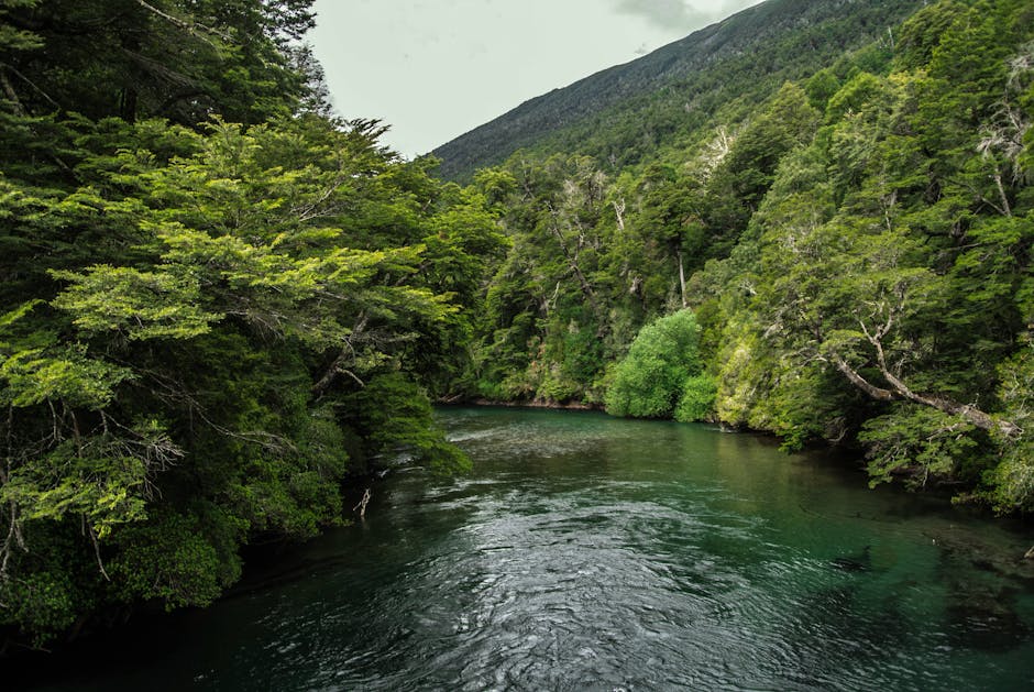 Bhutan Is the World's Only Carbon-Negative Country