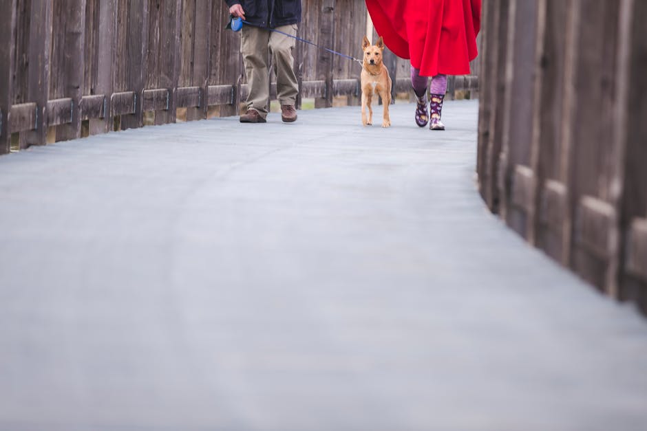 Walking