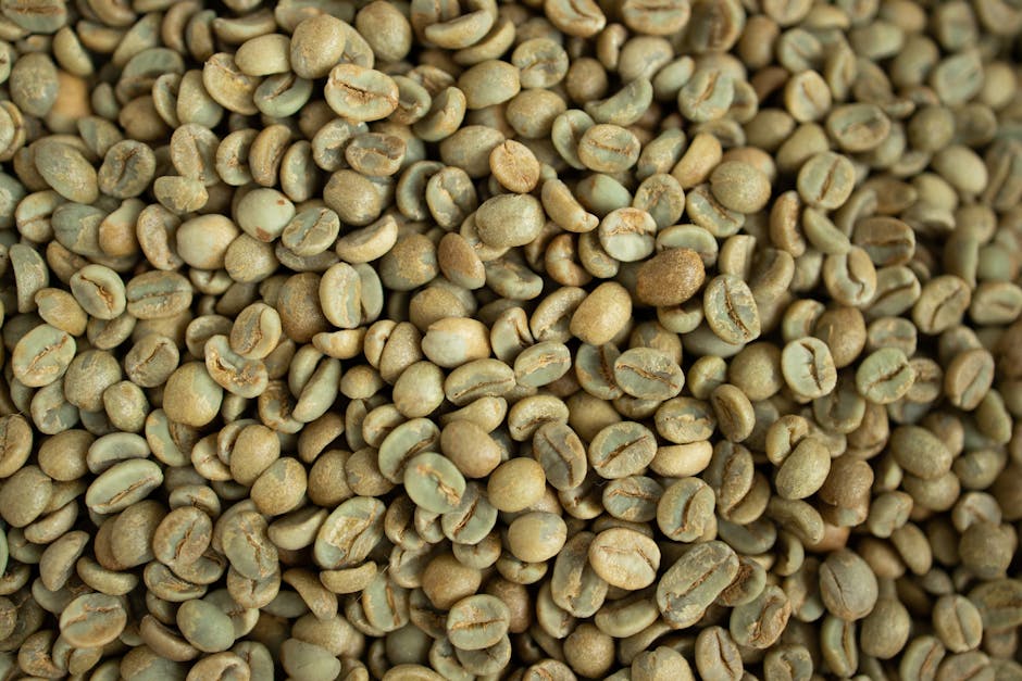 Coffee Is Burundi's Primary Export Commodity