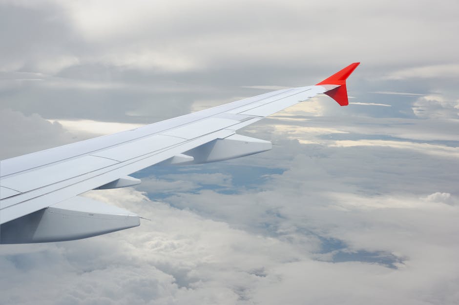 Flight