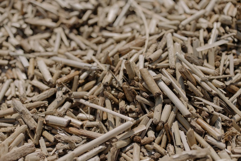 Biomass
