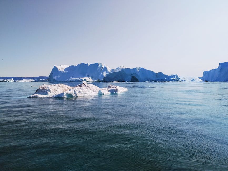 The Arctic Tern Migrates From the Arctic to Antarctica and Back
