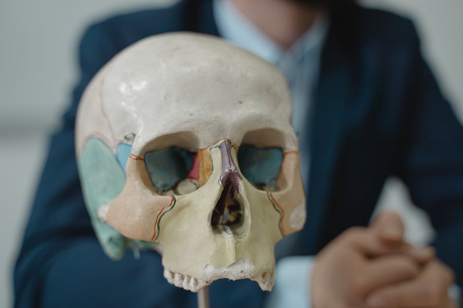 The Hyoid Is the Only Bone Not Connected to Another Bone