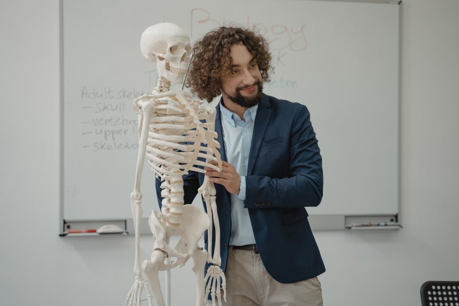 Human Anatomy