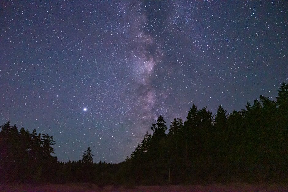 Earth Has More Trees Than Stars In The Milky Way Galaxy