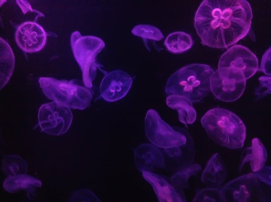 Glowing Waves Are Caused by Tiny Plankton