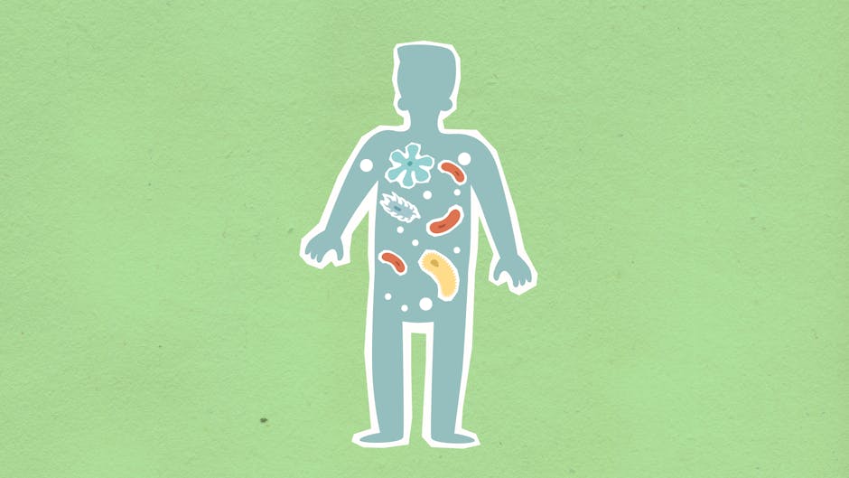 Your Body Contains More Bacterial Cells Than Human Cells