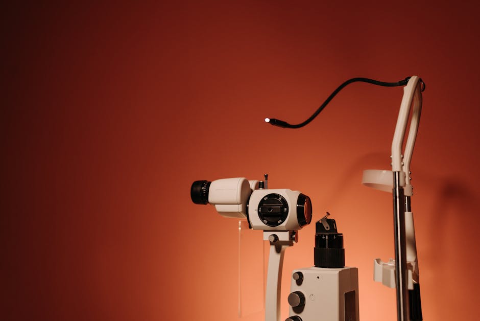 Ibn al-Haytham's Book of Optics Shaped the Study of Light