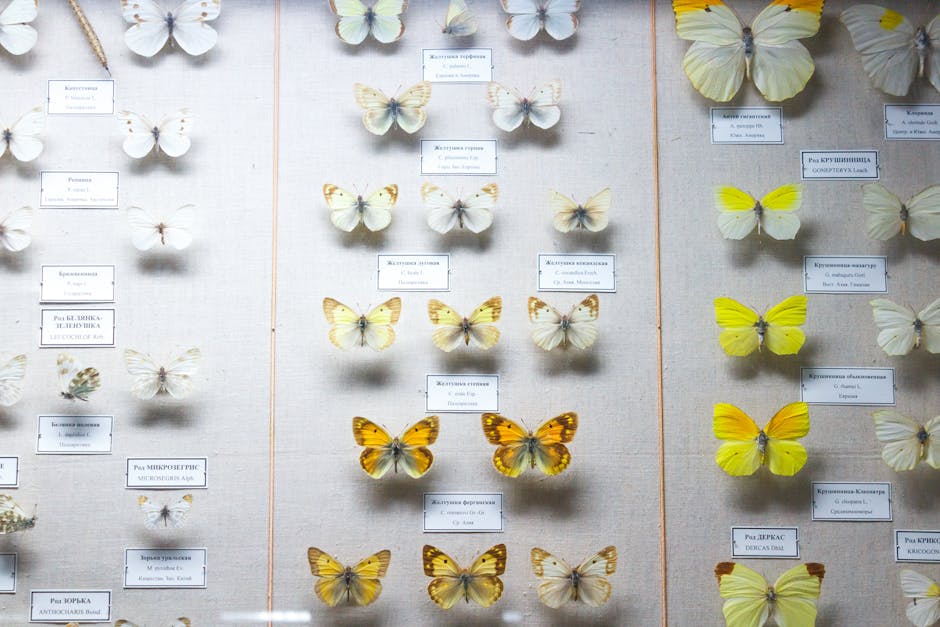 Entomology