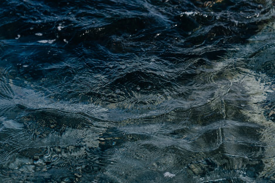 Water