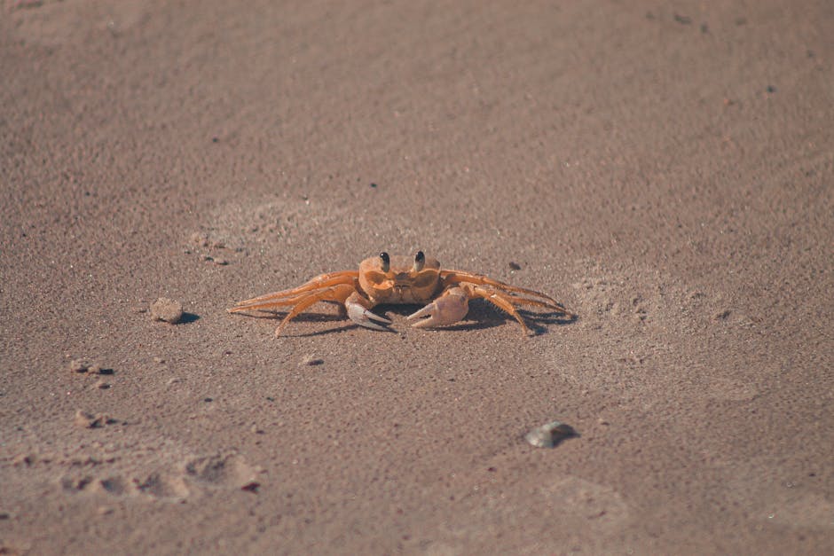 Crustacean
