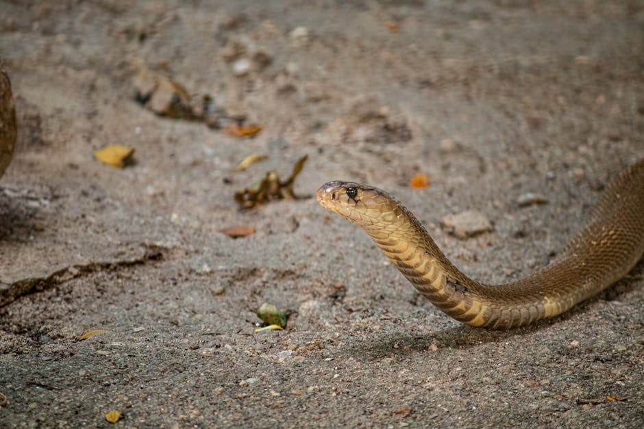 Venomous