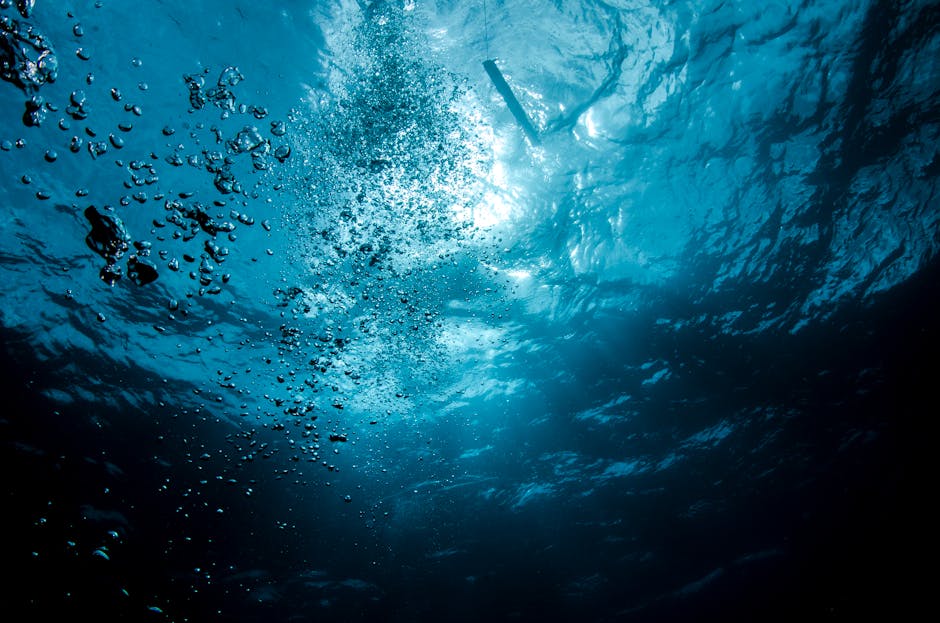 Mariana Trench