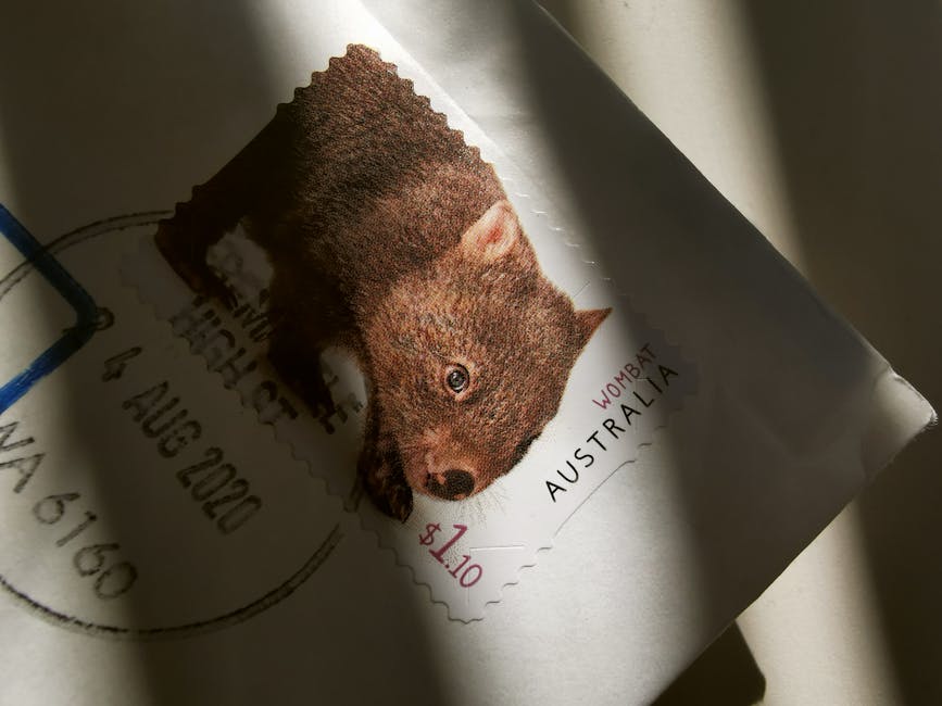 Wombat