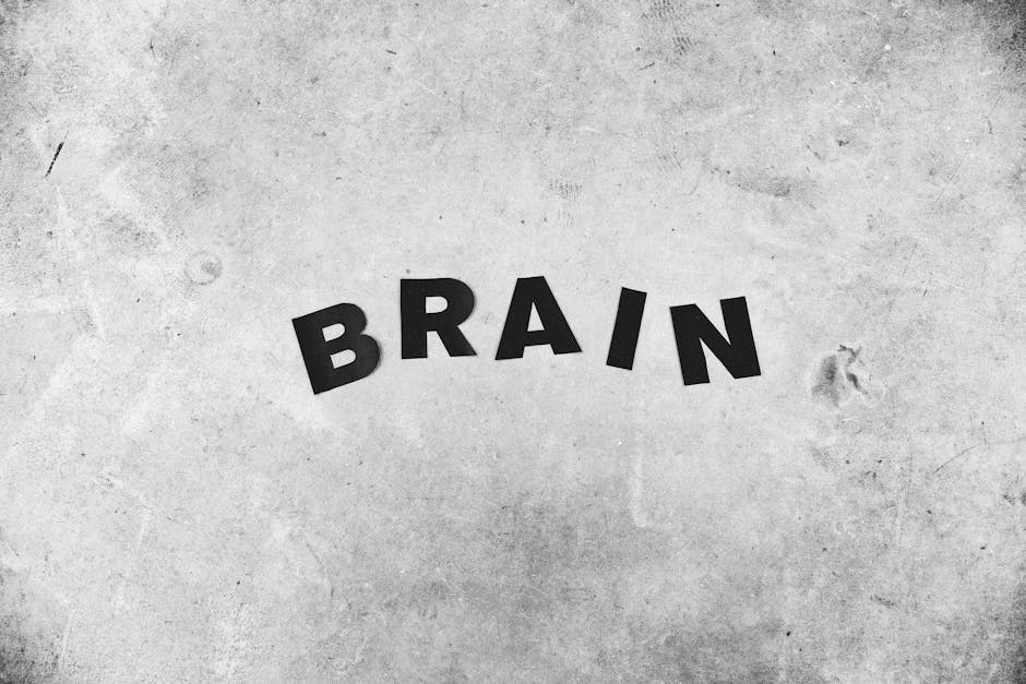 Your Brain Actively Creates And Distorts Memories