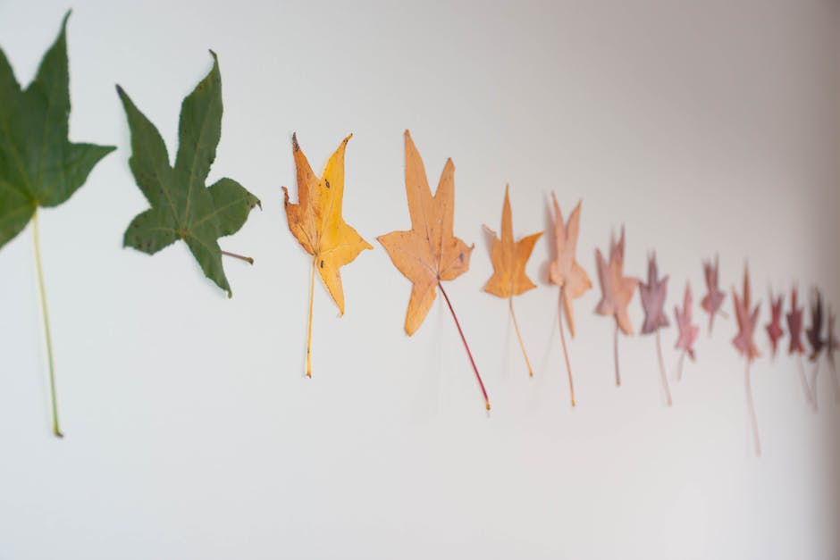 Scorpio Season Marks a Time of Reflection and Deep Internal Change