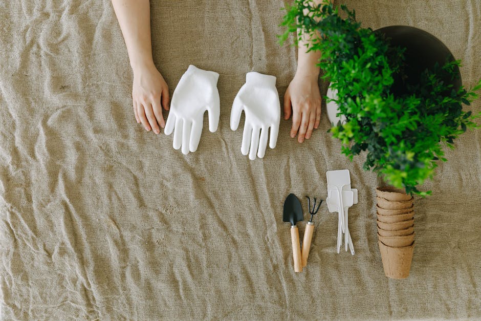 Gardening