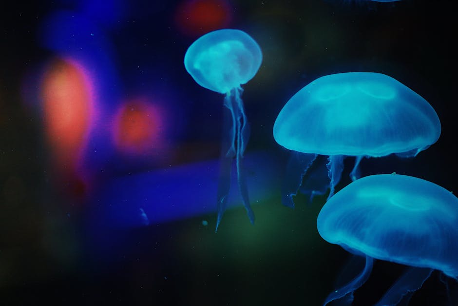 Humans Emit A Faint Visible Light, Our Bodies Bioluminesce