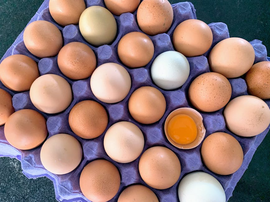 Eggs