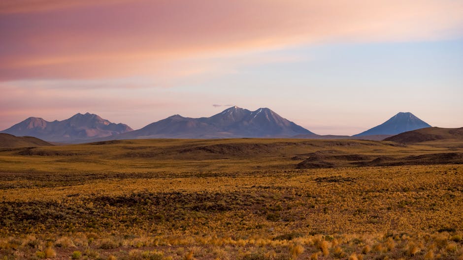 Parts of the Atacama Desert Are So Dry They Resemble Mars