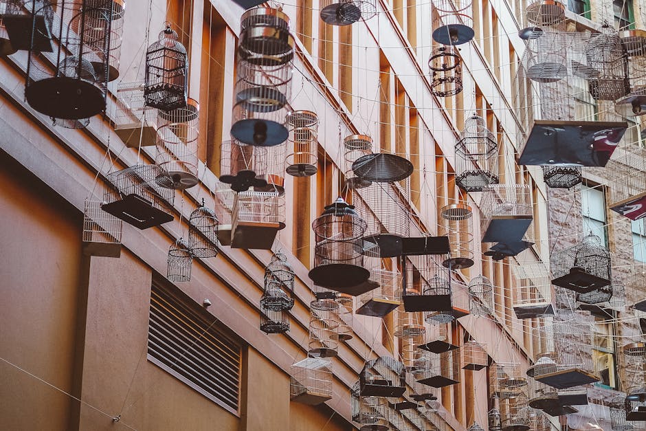Art Installation