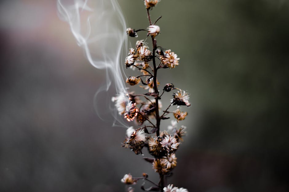 Spontaneous Combustion