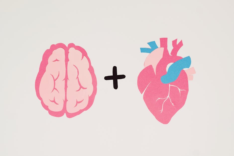 Blood Pressure Is Measured as Two Numbers