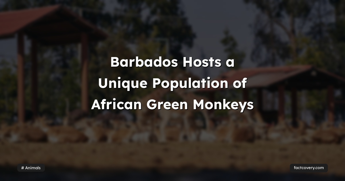 Barbados Hosts a Unique Population of African Green Monkeys — Factcovery