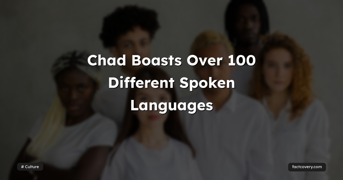 Chad Boasts Over 100 Different Spoken Languages — Factcovery