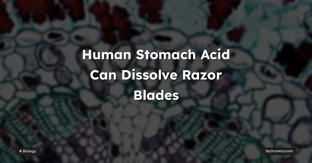 Human Stomach Acid Can Dissolve Razor Blades — Factcovery