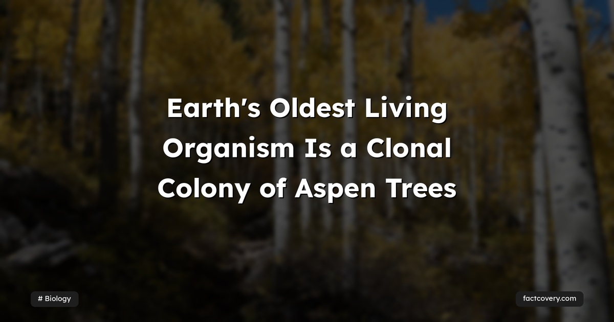 Earth's Oldest Living Organism Is a Clonal Colony of Aspen Trees ...